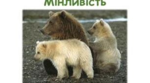 (Копія) Форми мінливості. 