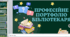 Структура портфолі шкільного бібліотекаря