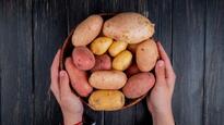Таку картоплю в їжу вживати категорично не можна - можуть бути отруєння | РБК Украина