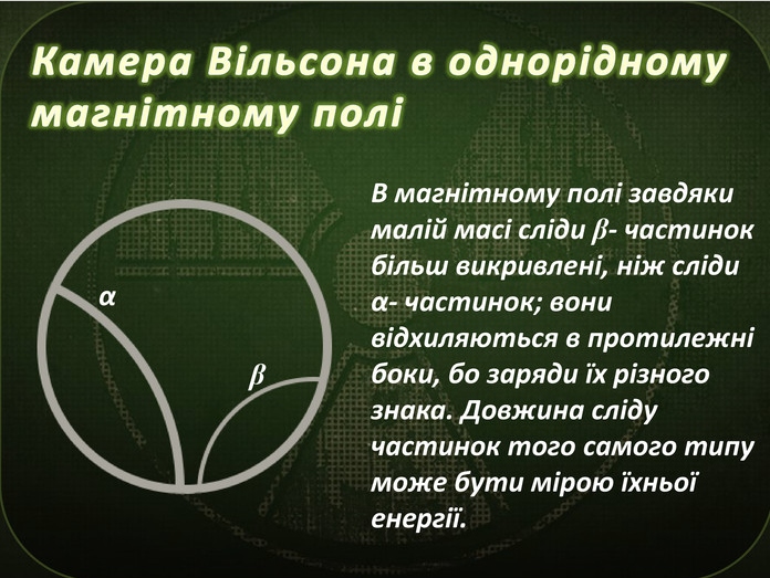 0401i04w-0610-696x523.png