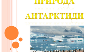 Природа Антарктиди. Рослинний і тваринний світ.