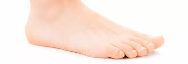 The foot – an introduction to an amazing and complex part of the body