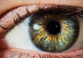 15 Fascinating Facts About Your Eyes – Cleveland Clinic