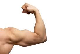 58,433 Body Builder Arm Stock Photos, Pictures & Royalty-Free Images - iStock