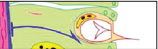 0401i33t-2b92-158x49.png