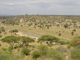 0401i3pv-9f85-320x240.jpg