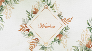 Презентація до уроку на тему "Weather", "Present Simple"