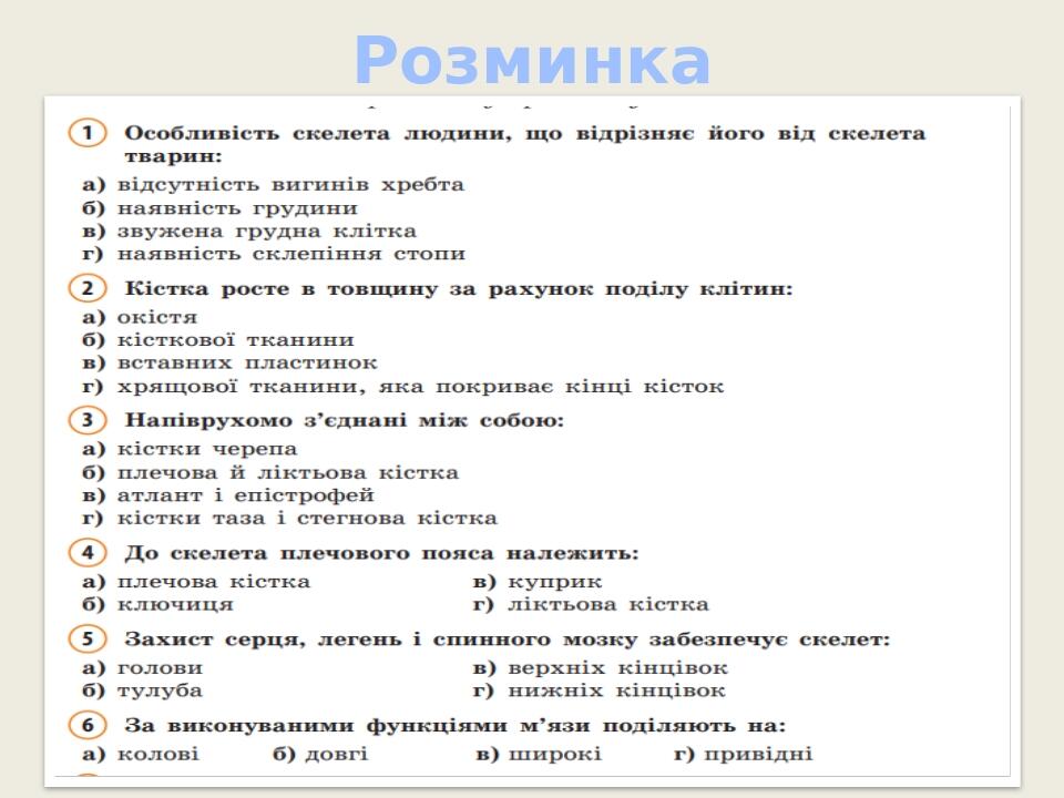 Розминка