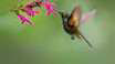 0401i8f5-7f42-104x58.png
