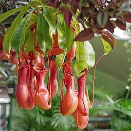 0401iaje-bbb8-269x269.jpg