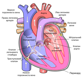 0401ib1o-bb45-350x327.png