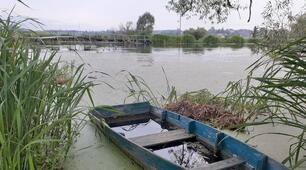 Всесвітній день водно-болотних угідь