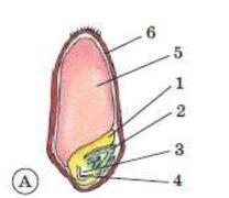 0401idwm-d475-240x208.jpg