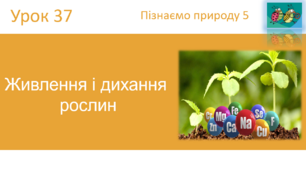 Живлення і дихання  рослин "Пізнаємо природу" (авт. Коршевнюк Т.В.)