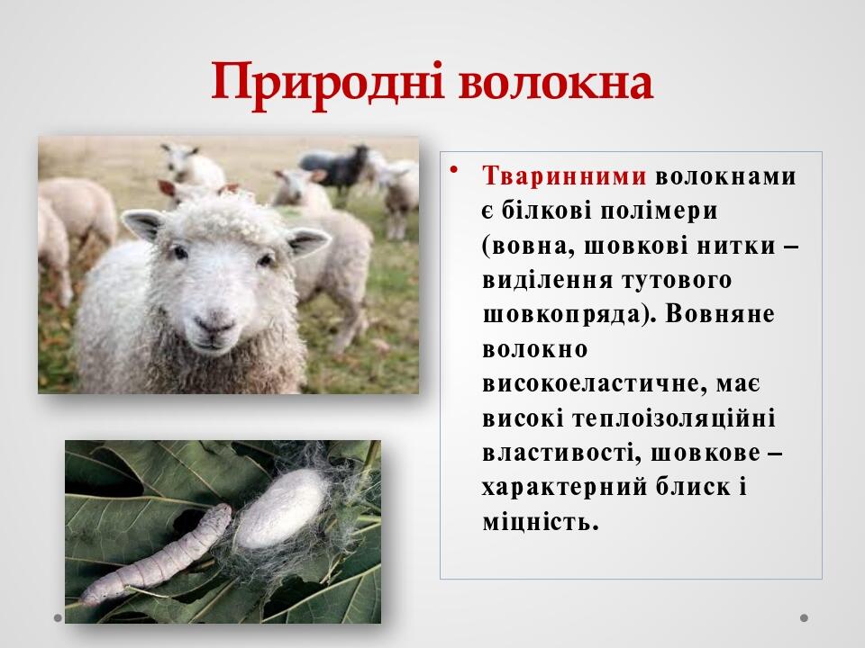 Природні волокна Тваринними волокнами є білкові полімери (вовна, шовкові нитки – виділення тутового шовкопряда). Вовняне волокно високоеластичне, м...