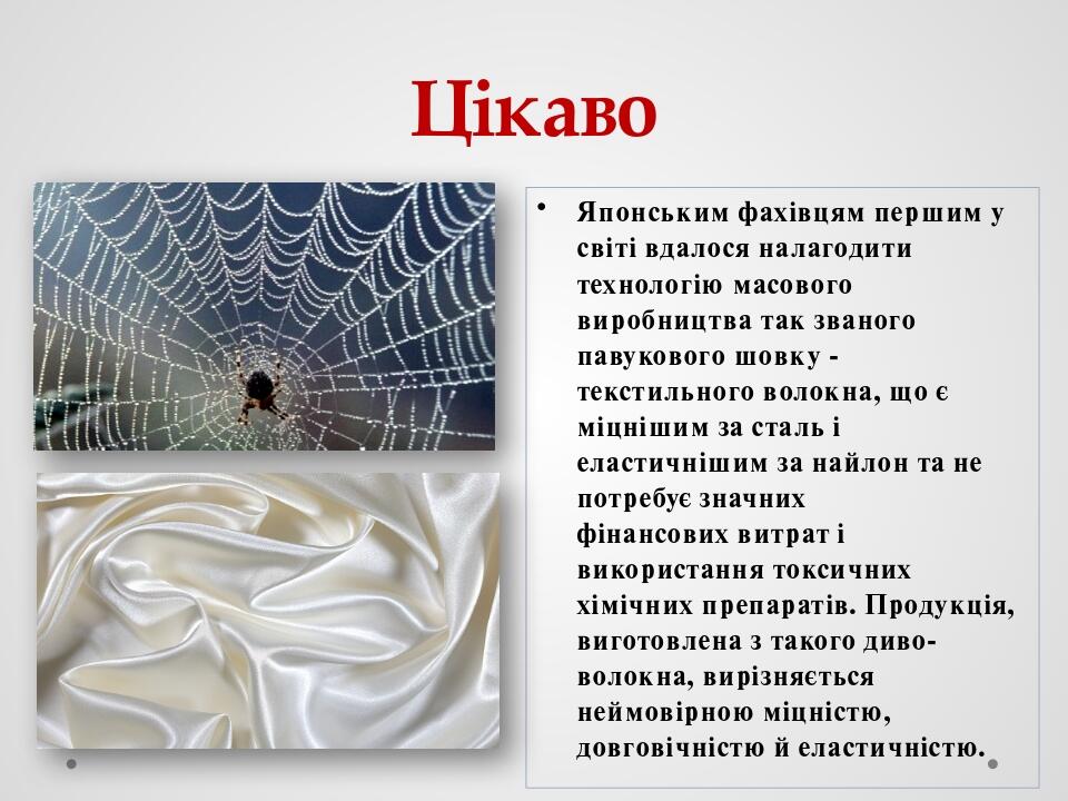 Цікаво Японським фахівцям першим у світі вдалося налагодити технологію масового виробництва так званого павукового шовку - текстильного волокна, що...