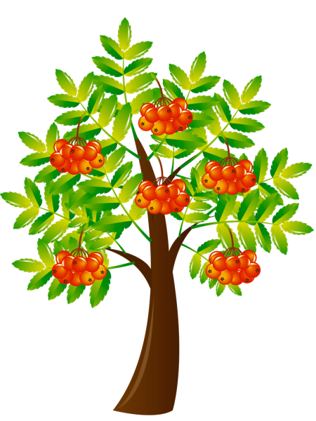 0401ikw2-f6e8-450x600.png