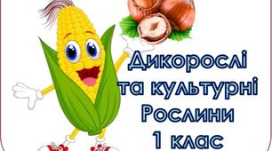 "Дикорослі та культурні рослини" - 1 кл. НУШ