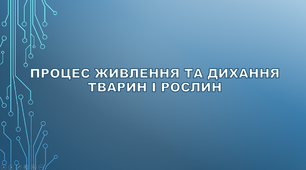 (Копія) Процес живлення та дихання тварин і рослин.