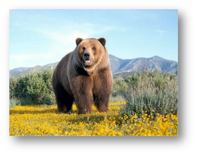 0401im8l-b77a-675x531.png