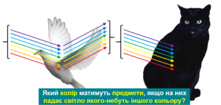 0401iqw1-cef9-312x149.png