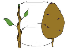 0401itds-d623-226x174.png