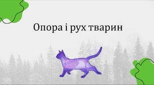  ОПОРА І РУХ. ВИДИ СКЕЛЕТА І СПОСОБИ ПЕРЕСУВАННЯ БЕЗХРЕБЕТНИХ ТВАРИН