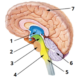 0401ivym-1244-270x266.png