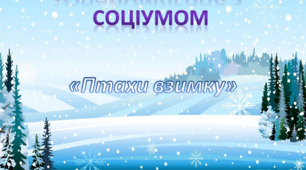 Ознайомлення з соціумом. Середня група. "Птахи взимку"