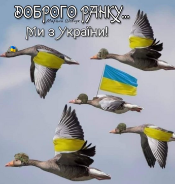 0401iza4-e22b-345x362.png