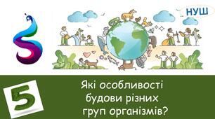 Які особливостібудови різних груп організмів?