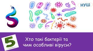 Презентація на тему:"Хто такі бактерії та чим особливі віруси?"