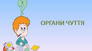 Яка роль органів чуття