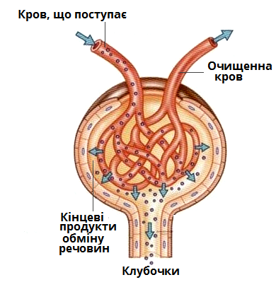 клубочки.png