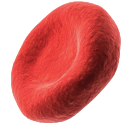 0401j1xk-8c8c-265x250.png
