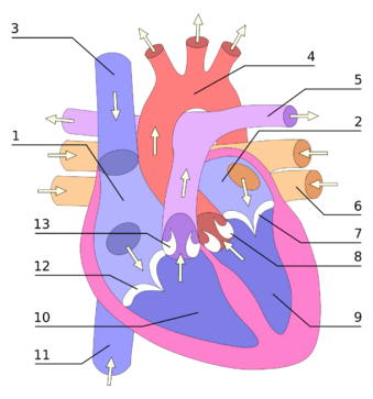 0401j25j-d98d-339x363.png