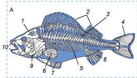 0401j35u-ea64-282x160.png