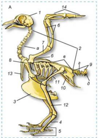 0401j39b-e572-193x270.png
