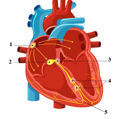 0401j3qw-00eb-382x382.png