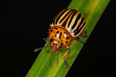 0401j5of-eb0b-385x256.jpg