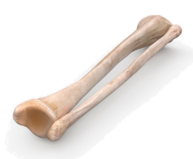 0401j68p-8d4d-193x159.png