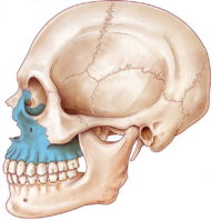 0401j6bp-ee58-191x199.png