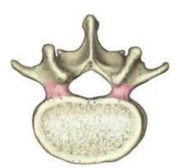 0401j6d0-cdd7-196x168.png