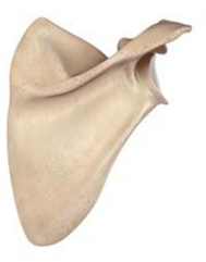 0401j6e1-df5c-189x241.png