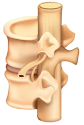 0401j6m0-f9c3-165x246.png