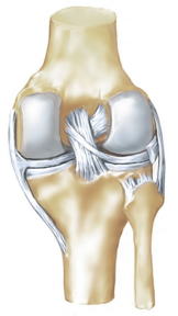 0401j6oh-9c72-162x288.png