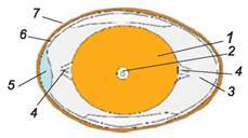 0401j89o-7cf7-229x128.jpg