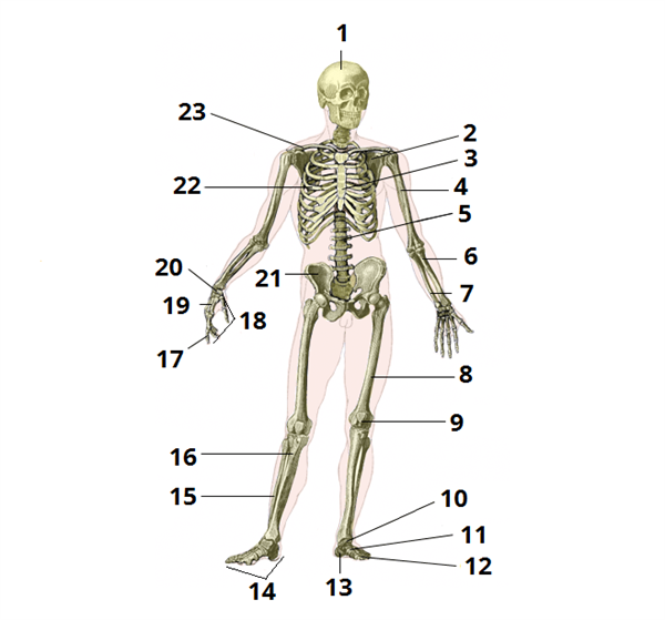 0401jctj-e6f7-600x559.png