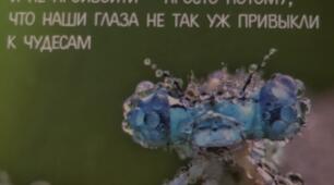 Методичні рекомендації «Самоосвіта педагога як діяльність з удосконалення компетентностей особистості»