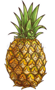 0401jgja-ded4-181x294.png